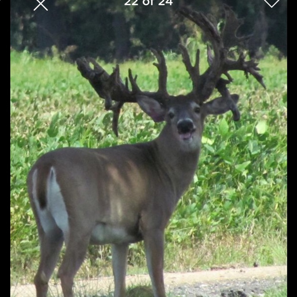 Meet your Posher, William